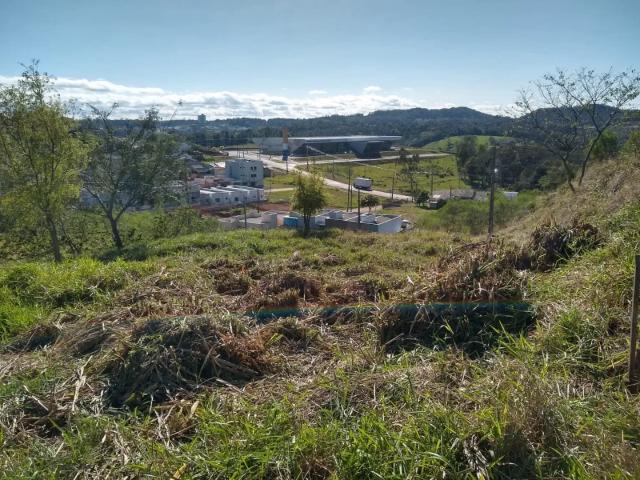 Terreno / Lote para Venda em Francisco Beltrão/PR Água Branca