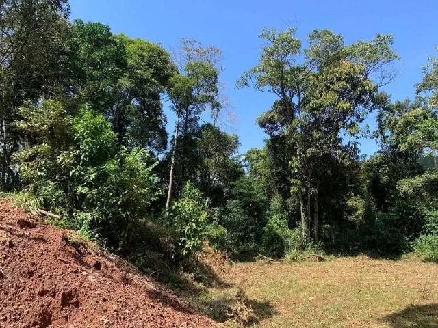 Terreno / Lote para Venda em Francisco Morato/SP Jardim Rosa