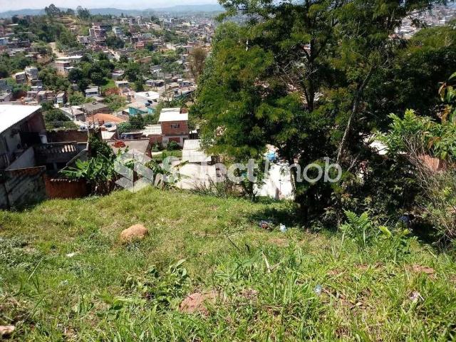 Terreno / Lote para Venda em Francisco Morato/SP Jardim Vassouras II