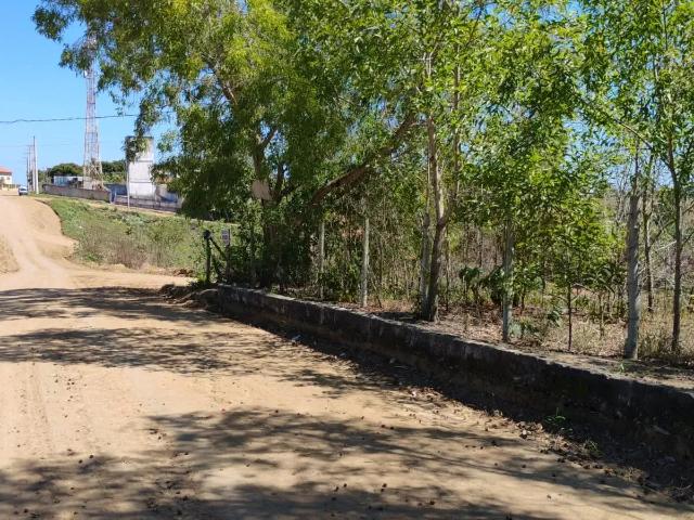 Terreno / Lote para Venda em Fundão/ES Praia Grande