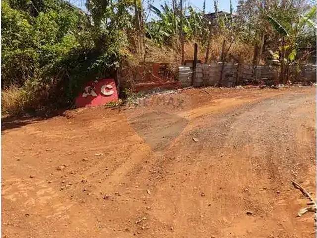 Terreno / Lote para Venda em Gama/DF Ponte Alta