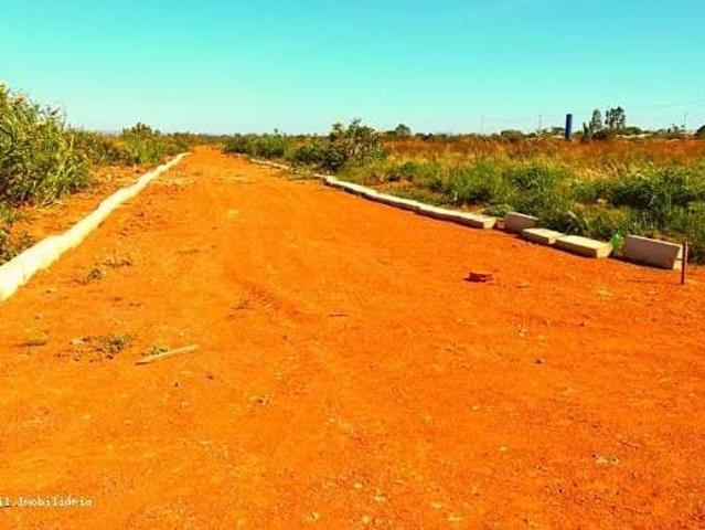 Terreno / Lote para Venda em Gama/DF Ponte Alta Norte