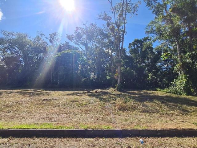 Terreno / Lote para Venda em Garuva/SC Centro