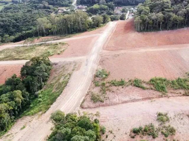 Terreno / Lote para Venda em Garibaldi/RS Tamandaré