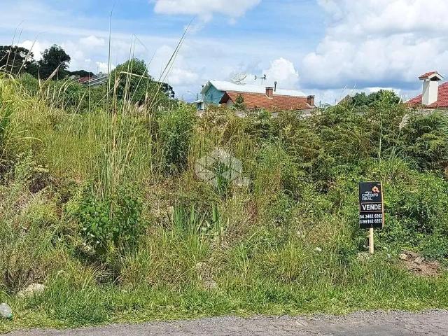 Terreno / Lote para Venda em Garibaldi/RS Vale dos Pinheiros