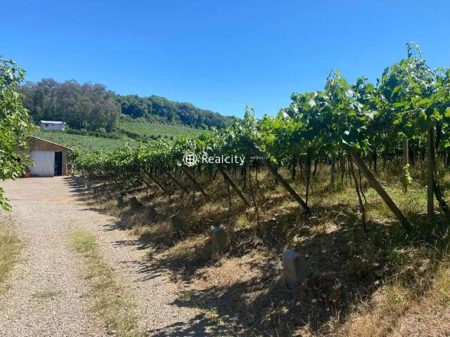 Terreno / Lote para Venda em Garibaldi/RS Zona Rural