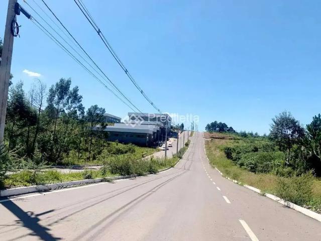 Terreno / Lote para Venda em Garibaldi/RS Alfândega
