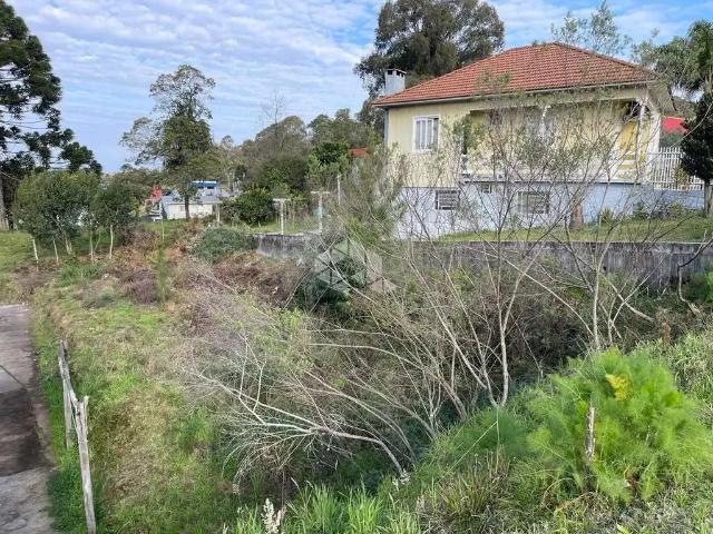 Terreno / Lote para Venda em Garibaldi/RS Alfândega