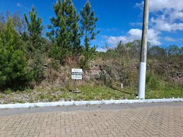 Terreno / Lote para Venda em Garibaldi/RS Alfândega