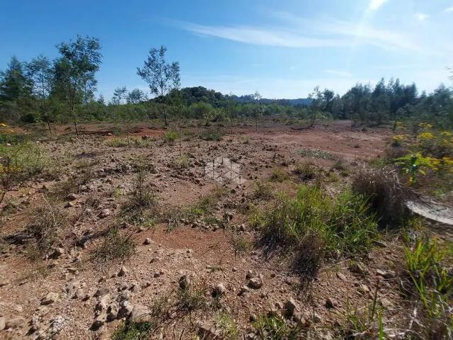 Terreno / Lote para Venda em Garibaldi/RS Alfândega