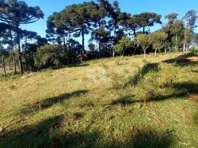 Terreno / Lote para Venda em Garibaldi/RS Alfândega