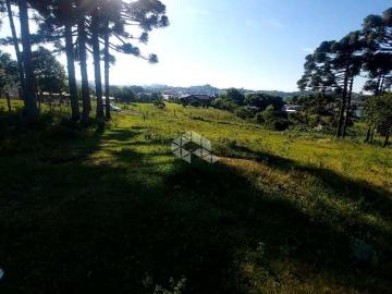Terreno / Lote para Venda em Garibaldi/RS Alfândega