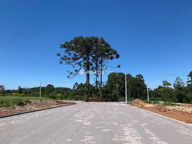 Terreno / Lote para Venda em Garibaldi/RS Alfândega