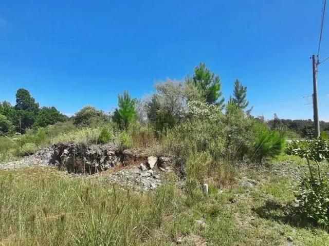 Terreno / Lote para Venda em Garibaldi/RS Alfândega