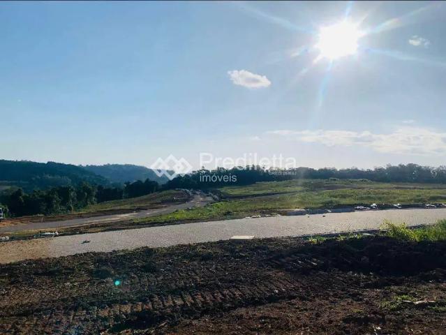 Terreno / Lote para Venda em Garibaldi/RS Borghetto