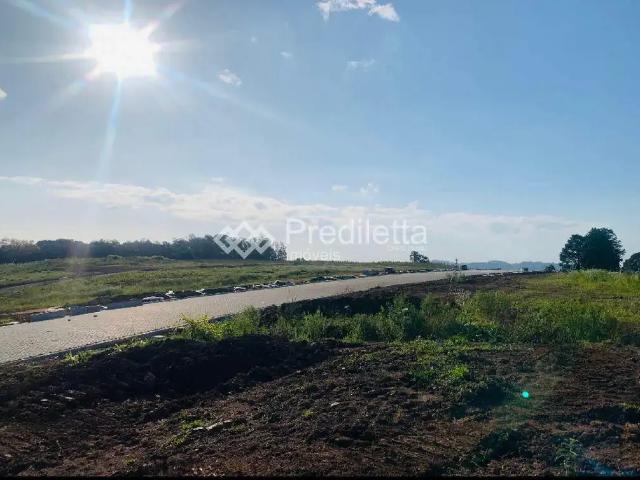 Terreno / Lote para Venda em Garibaldi/RS Borghetto