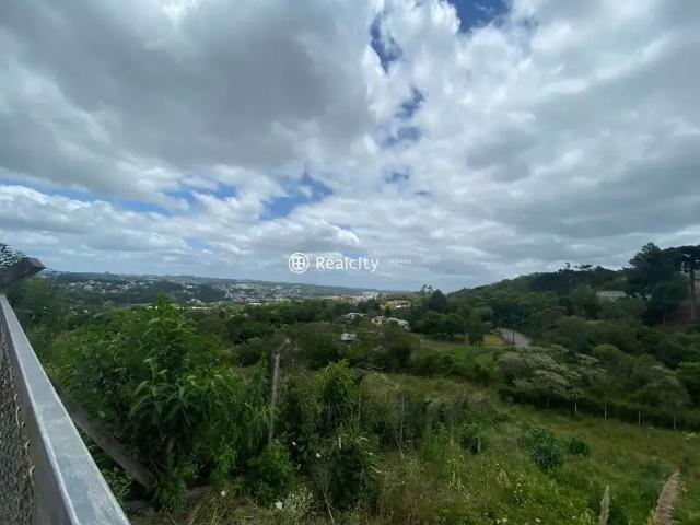 Terreno / Lote para Venda em Garibaldi/RS Borghetto