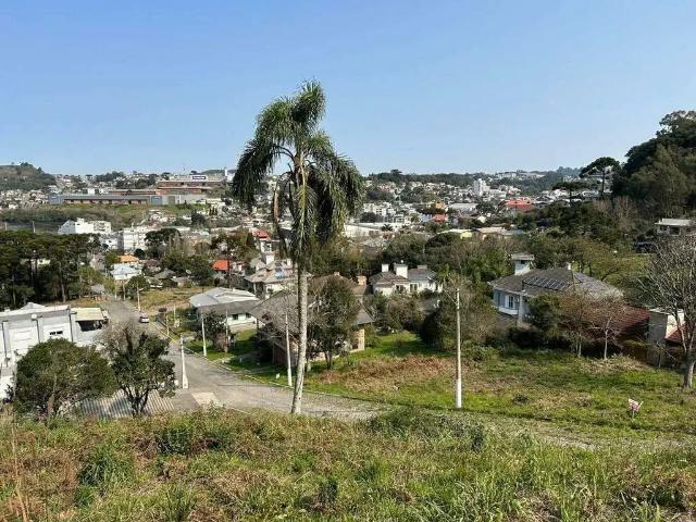 Terreno / Lote para Venda em Garibaldi/RS Cairú