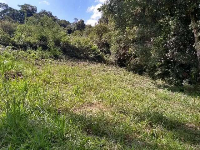 Terreno / Lote para Venda em Garibaldi/RS Cairú