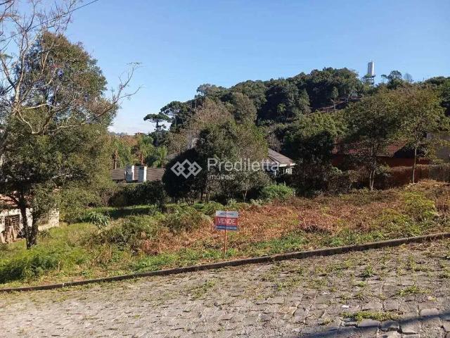 Terreno / Lote para Venda em Garibaldi/RS Cairú