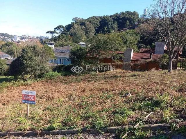Terreno / Lote para Venda em Garibaldi/RS Cairú