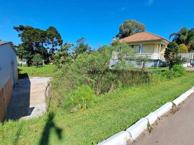 Terreno / Lote para Venda em Garibaldi/RS Centro