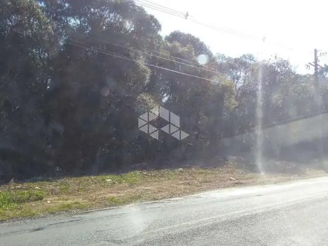 Terreno / Lote para Venda em Garibaldi/RS Centro