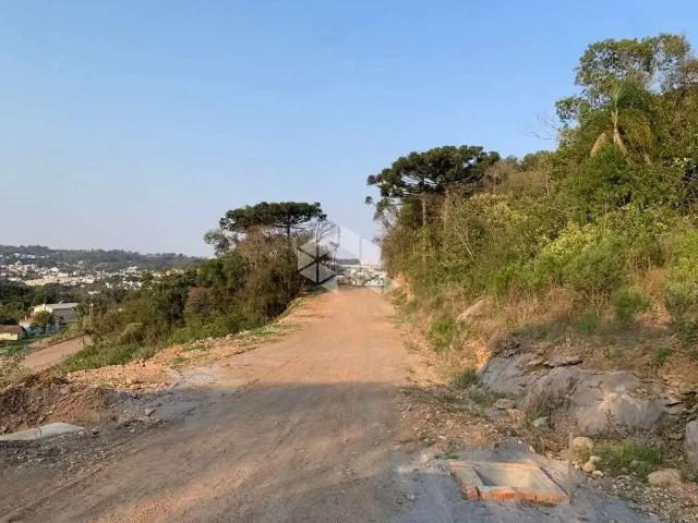Terreno / Lote para Venda em Garibaldi/RS Centro