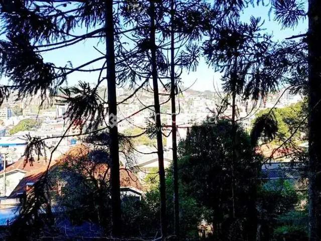 Terreno / Lote para Venda em Garibaldi/RS Centro
