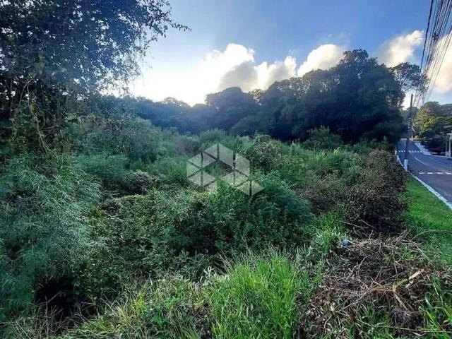 Terreno / Lote para Venda em Garibaldi/RS Centro