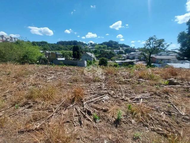 Terreno / Lote para Venda em Garibaldi/RS Chácaras