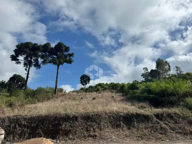 Terreno / Lote para Venda em Garibaldi/RS Chácaras