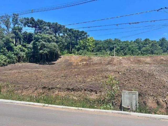 Terreno / Lote para Venda em Garibaldi/RS Chácaras