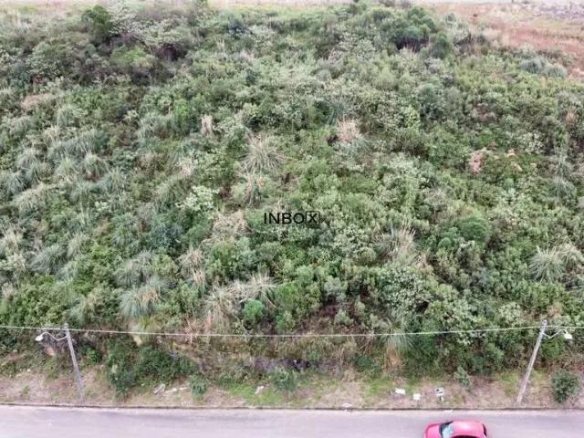 Terreno / Lote para Venda em Garibaldi/RS Ferroviário