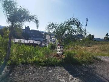 Terreno / Lote para Venda em Garibaldi/RS Ferroviário