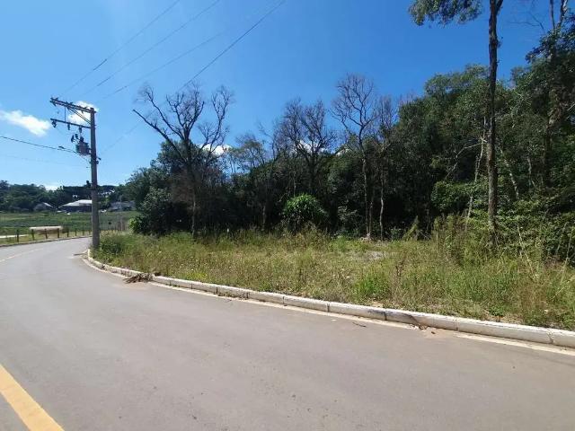 Terreno / Lote para Venda em Garibaldi/RS Garibaldina
