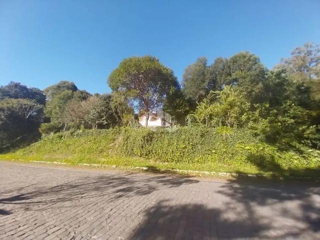 Terreno / Lote para Venda em Garibaldi/RS Garibaldina 3 Quartos