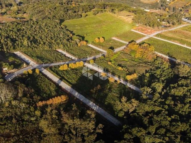 Terreno / Lote para Venda em Garibaldi/RS Garibaldina