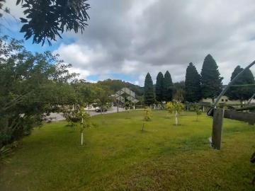 Terreno / Lote para Venda em Garibaldi/RS Garibaldina