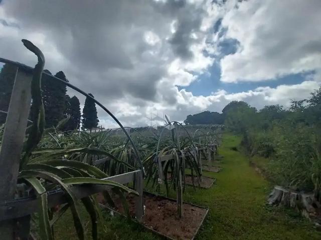 Terreno / Lote para Venda em Garibaldi/RS Garibaldina