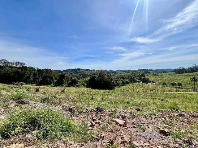 Terreno / Lote para Venda em Garibaldi/RS Garibaldina