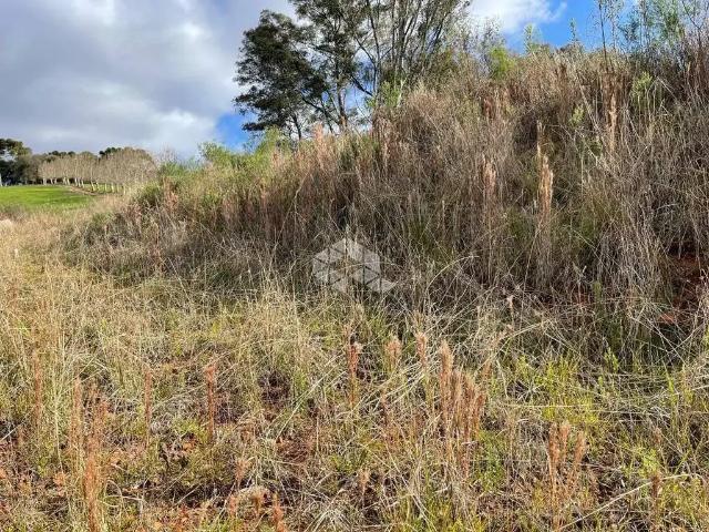 Terreno / Lote para Venda em Garibaldi/RS Garibaldina