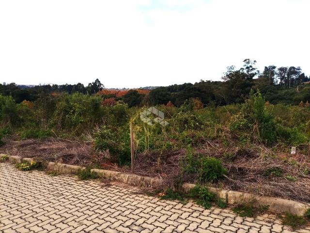 Terreno / Lote para Venda em Garibaldi/RS Garibaldina