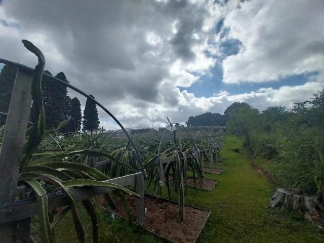 Terreno / Lote para Venda em Garibaldi/RS Garibaldina