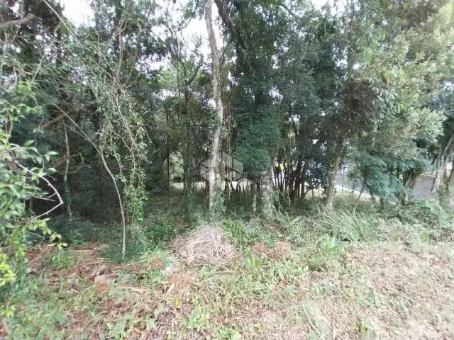 Terreno / Lote para Venda em Garibaldi/RS Garibaldina