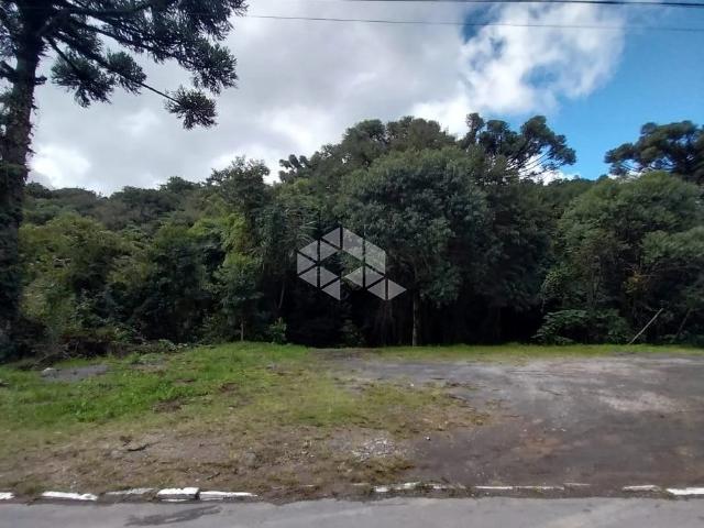 Terreno / Lote para Venda em Garibaldi/RS Glória