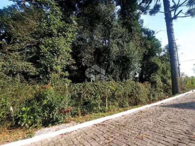 Terreno / Lote para Venda em Garibaldi/RS Peterlongo