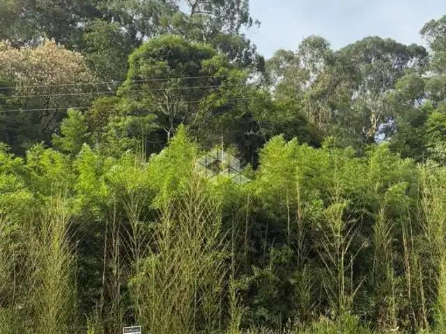 Terreno / Lote para Venda em Garibaldi/RS Peterlongo