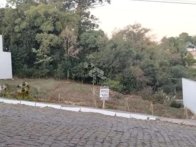 Terreno / Lote para Venda em Garibaldi/RS Peterlongo