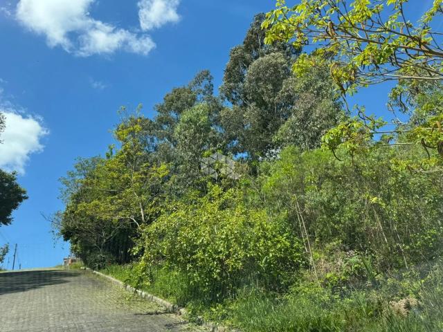 Terreno / Lote para Venda em Garibaldi/RS Peterlongo